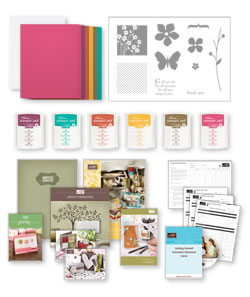 $85 Mini Starter Kit Deal