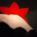 XDay2_20110718_0055