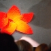 XDay2_20110718_0056