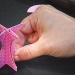 XDay2_20110718_0098