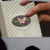 DSCF8270