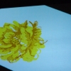 DSCF7155