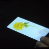 DSCF7159