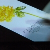 DSCF7160