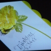 DSCF7166