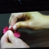 DSCF7182