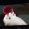 DSCF7185