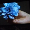 DSCF7208