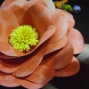 DSCF7213