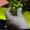 DSCF7243
