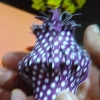 DSCF7247