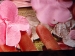 DSCF4398