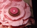 DSCF4400