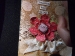 DSCF4419