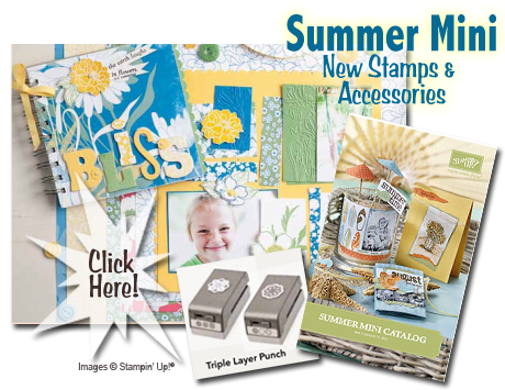 Click to view the Summer Mini Catalog